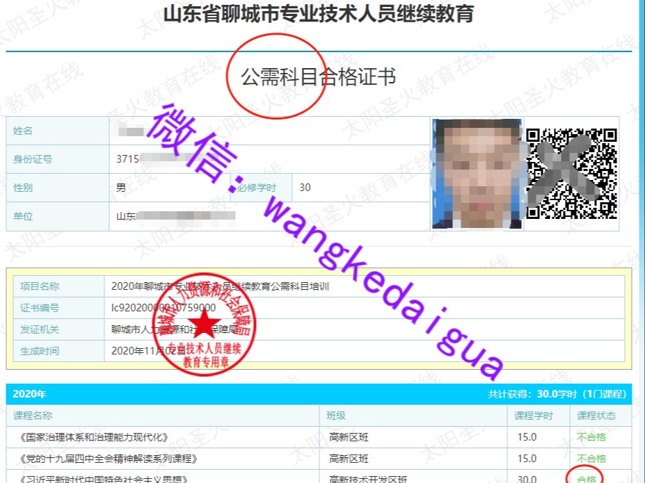 山东专技人员太阳圣火证书案例