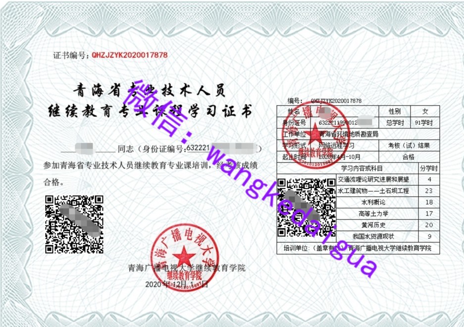 青海专业技术人员继续教育证书案例